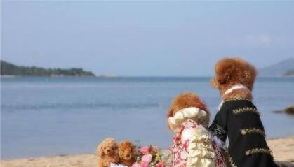 085c50e1413e83ceefbdaaa10b1535f7