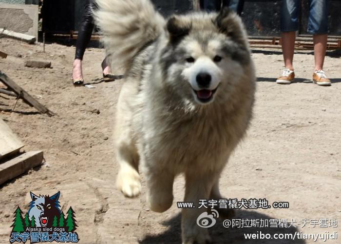 0b92136378ff0e83631530a03a3f2e6f