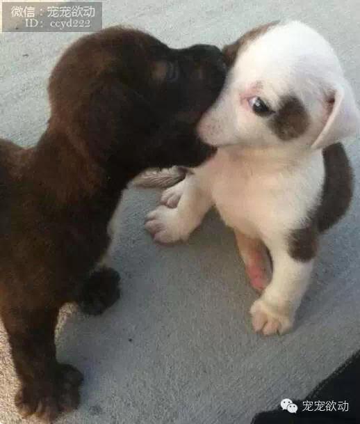 0d6e9817da24c69357b8a5f273eab34c