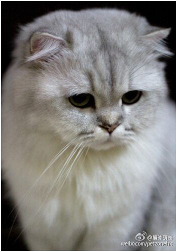 1c5bed818c79b3a8c5fd929e18d3a31d