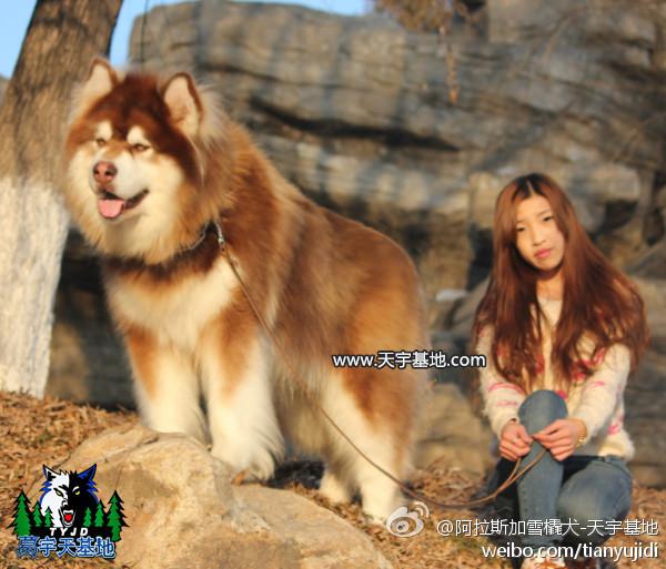 1fa0720965bed8e4be488ddf86ff8fb9