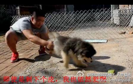 20a28331fa98de1efab1af5a722fc90a