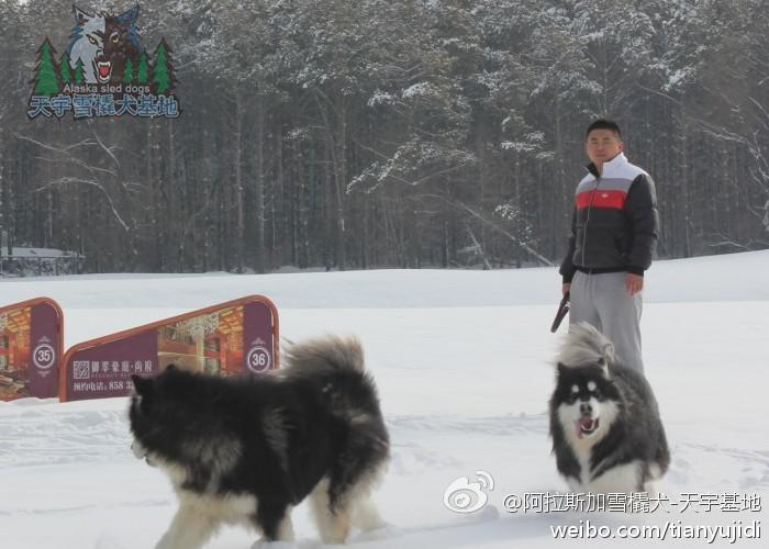 2c06a24754d9d84acf707c711e21a467