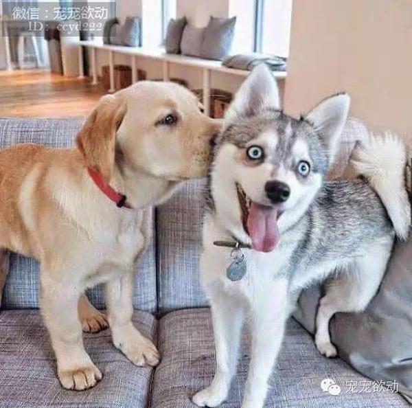 3004aec23776fc5c2acd13525dc10a8c