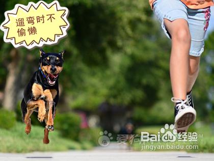 31767c4c79c588b64e3747f530a78e2f