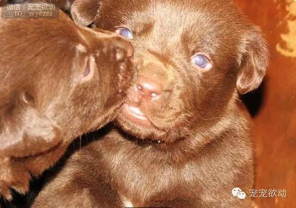 3c6fcaea5098f38c4c2bcf166411ec8d