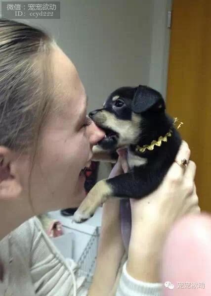 435e034b8e19e5f0b969722bfa728045