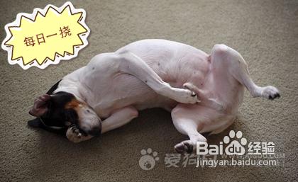 4b53568283a18c994564da52512c674c