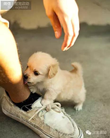 503a6063f1e6a295d82b355490b6ed54