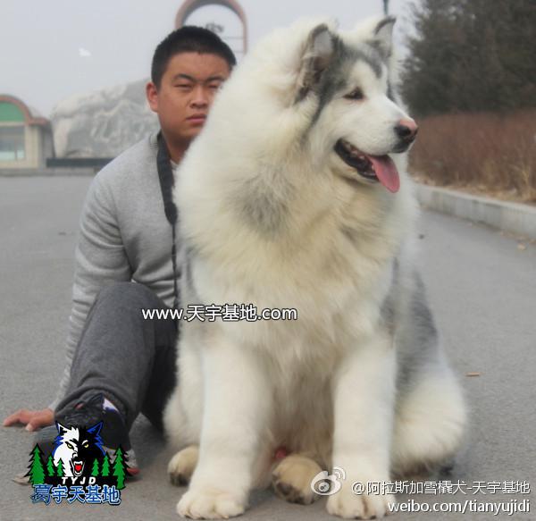 530acbae1bb7e353460f8e23bbb97c6c