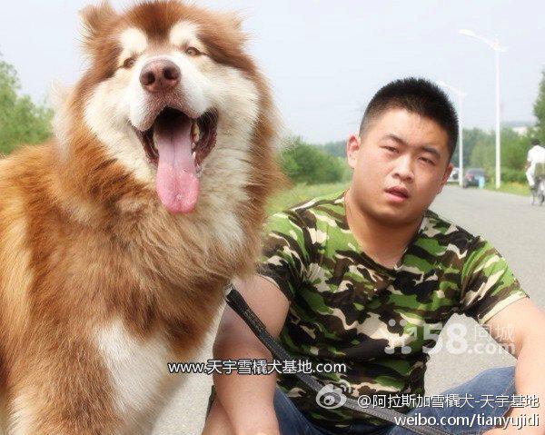 74ef748c8f5d8ba713922d1162797cb1