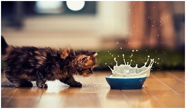 7aa3f608e5681ed8d7329a8b8c61e6b7