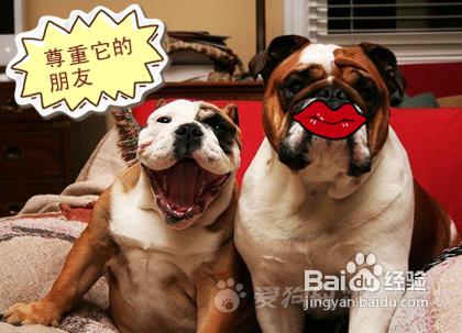 822c6ba73b82a85397ef0cf2dd4bdc37