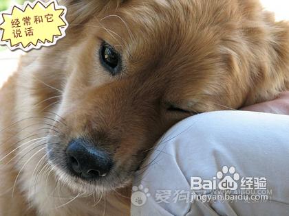 837c15647b1890bdd00504b5096d1a43