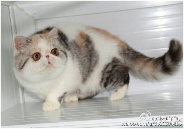 8897e93b8f1987e03a4eb86f9bc1107f