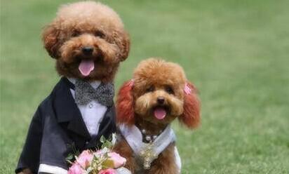 890c5882555c88a854134bf4fbc6a93d