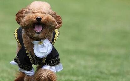 8a86743dccaca93ce3ef5bd896399037