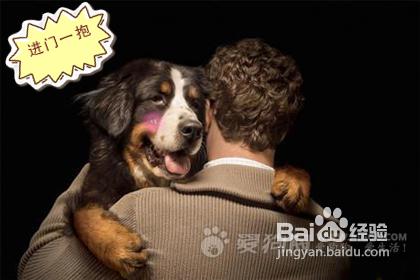 8d877d54adad821fe21838882500c450