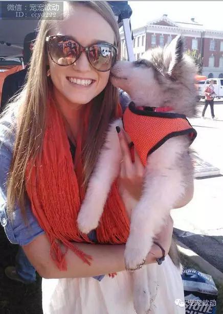 8f3145a5c36885edf74c3d0949868bc8