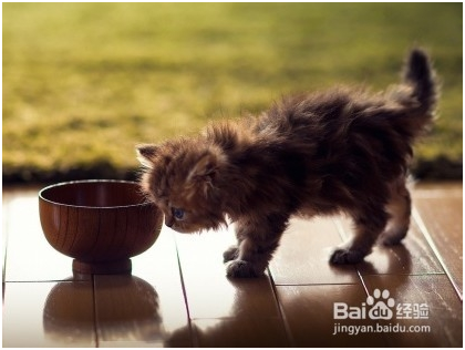 92cfad504e4c2d980a4239175cf77c31