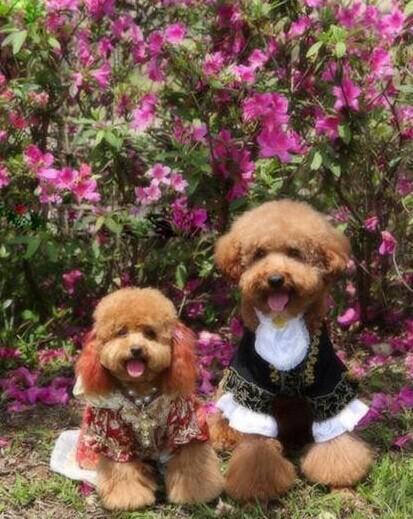 bbbc64ae82c0f8b418f800c147ccf809