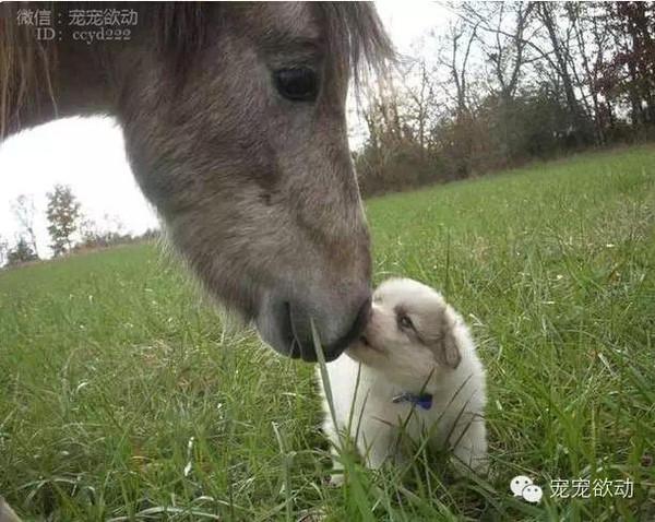 bf4cf58402ed6383079bf0d93cfc7678