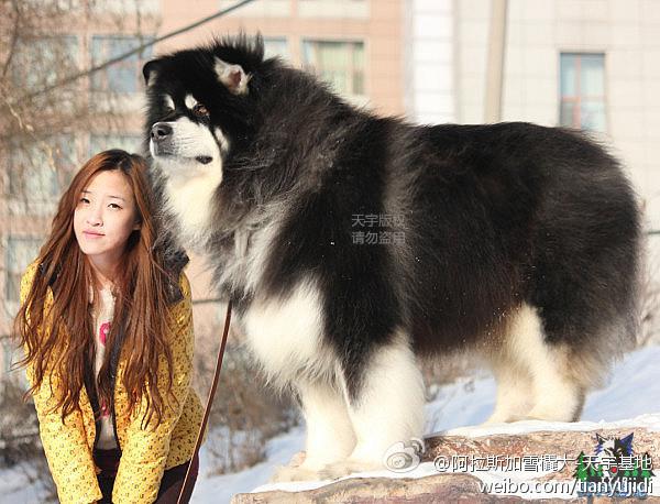 cda2310223140f6bc9fa96a927063280