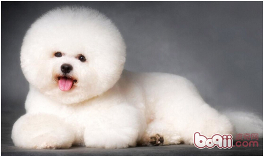 f04c586e05a816ba9746a1b0371b56fa