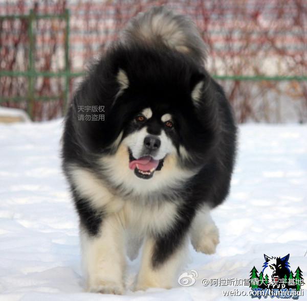 f3ccb2295f6cc62d481f1aea4aba2714