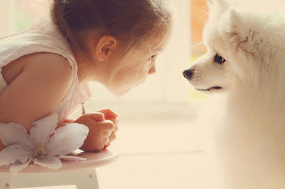 d4646972eb93e064f4a937616b08a6a1