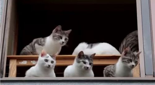 405ce09c8c82d090f0e04d82a7c51a01