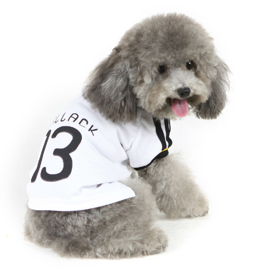 太阳城官网·tyc(中国集团)有限公司