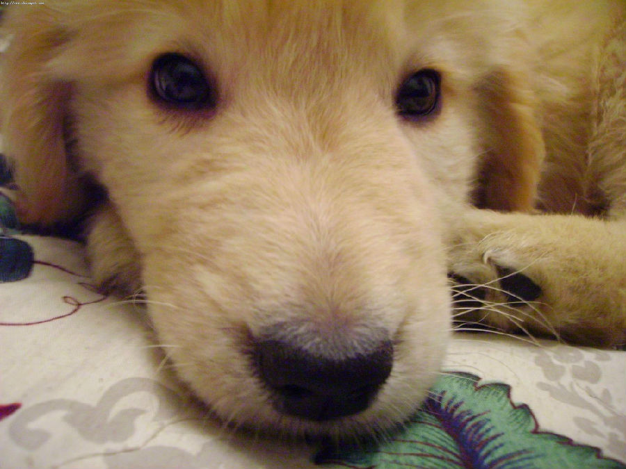 太阳城官网·tyc(中国集团)有限公司