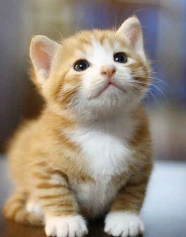 d572130818b4b1302cb36f5608b1f030