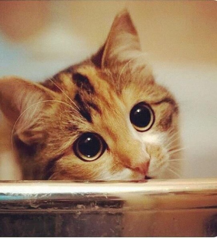 fa6393884bbd1d77b4f1bfe13dacb050