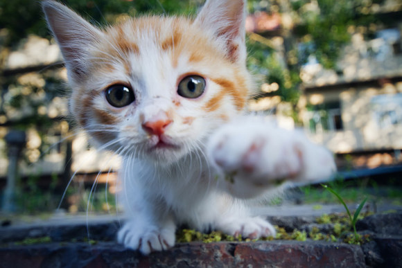 0a35e83756065c6947a25587e76f9261