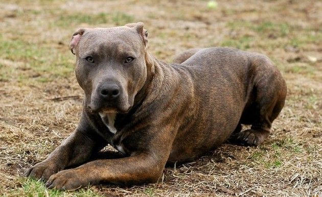 170979672ab877f64ffbd13c669cab31