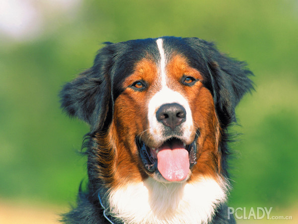 2d6722e26146f1a130d29be7f1fae91d