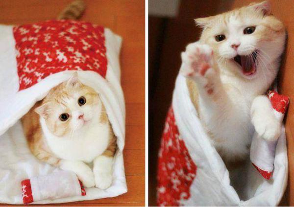 5db08c72bcf49126e548e7e43dd9bd8a