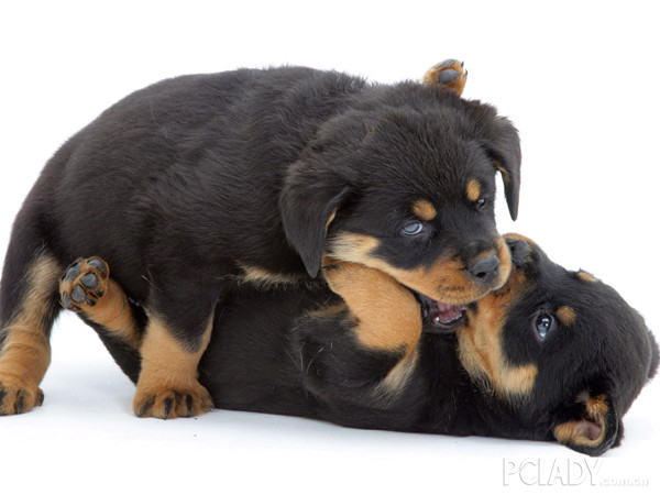 b5b63c486fa64d9562e765974986ade7