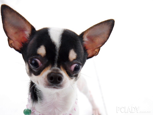 e8adaec6044d63b0aadf1d17c6184000