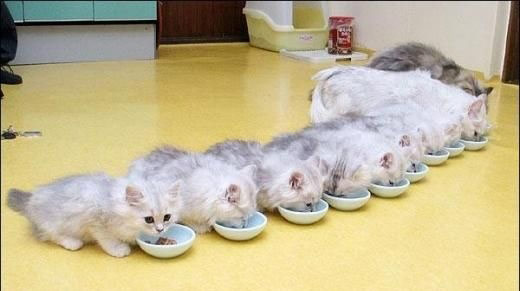 19139dec56e8d25ef611bab42b333858