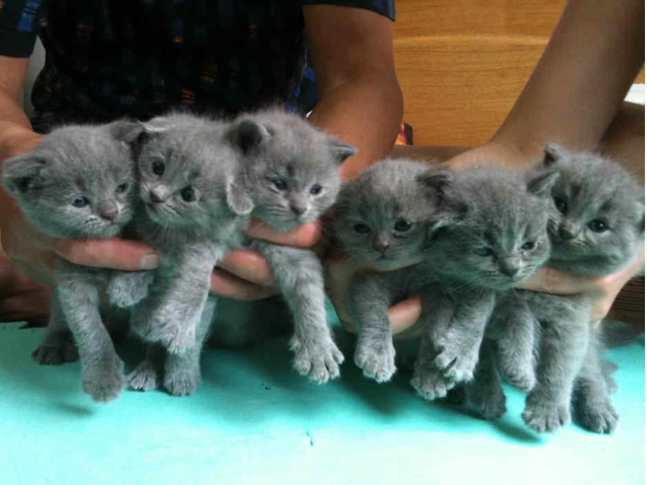 5db970f50c55c30bb8c3e46d933ea4b1