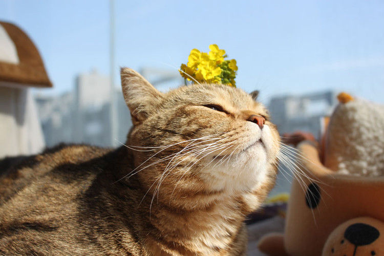 6a1d85200b6052eedfdfcd59afa7238a