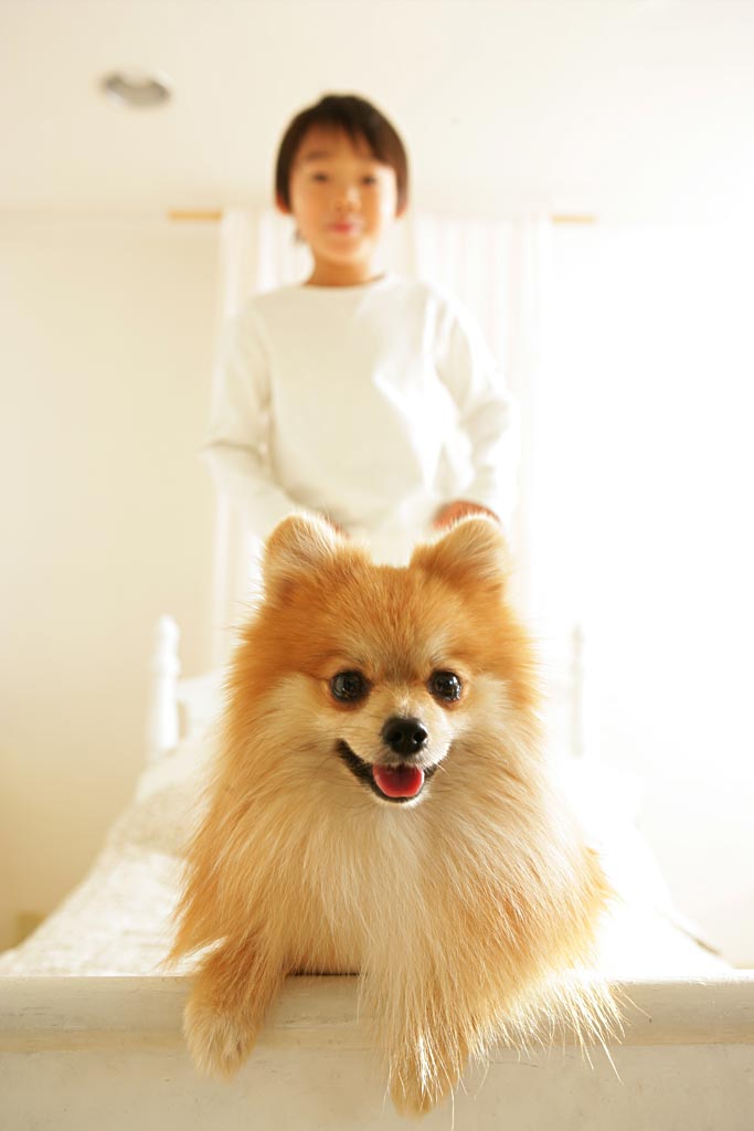 8933d0d34c7bfe908e4fe9146da8f68f