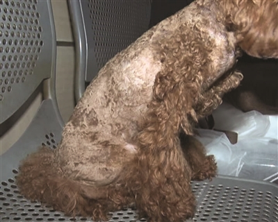 04701d43e80aaf395b62d0b5aeade56f