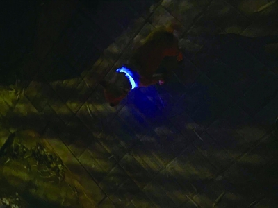 f261f56e49b3975894925f8b84cf5c46