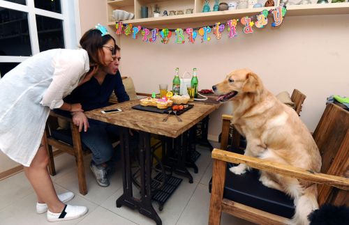 6fe1cf335aad088bccec9fc29d68f7b4