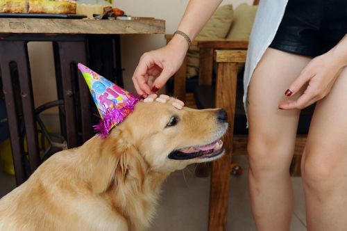 833c388e644145967e0bc5ce29f92c7c