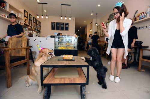 d8ecc0e65b4647696b2c2bd56f80ad99